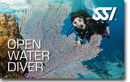 Szkoła nurkowania Kołobrzeg, kurs Open Water Diver SSI