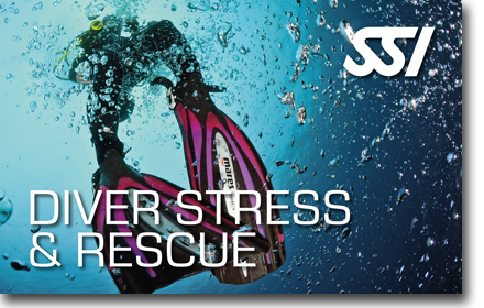 Aby w każdej chwili móc udzielić pomocy partnerowi pod wodą, ukończ kurs Stress and Rescue