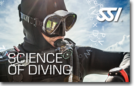 Szkoła nurkowania Kołobrzeg, kurs Science of Diving SSI